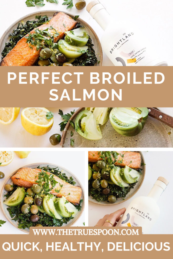 Olivey Broiled Salmon Salad